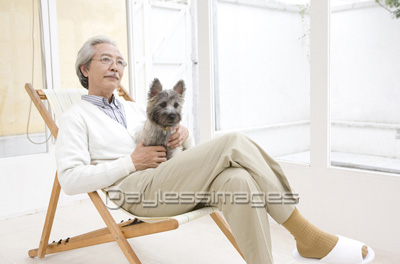 犬を抱いてイスに座るシニア男性 商用利用可能な写真素材 イラスト素材ならストックフォトの定額制ペイレスイメージズ