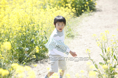 �ڤβ�Ȫ���⤯�ˤλ�