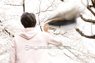 �ָ��򤷤Ƥ��������θ��