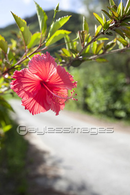 ƻü�˺餤���ϥ��ӥ�����