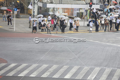 �����Ԥ��ο͡�