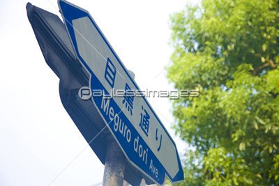 �ܹ��̤��ɸ��