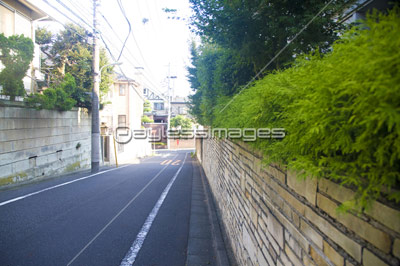 ��ȿ�Ĥγ���