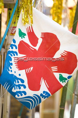 ����ɹ�δ�