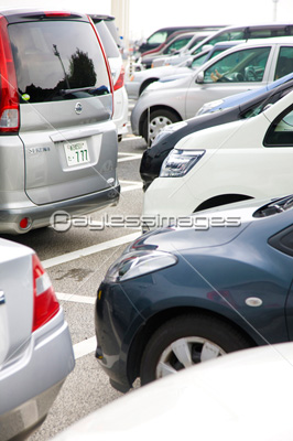 �������Ƥ���ѡ����󥰥��ꥢ