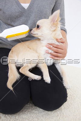 �֥�å��󥰤��������