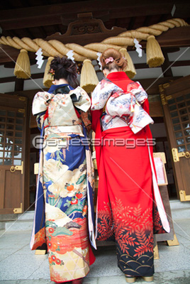 ���Ҥ��뿶µ�Ѥν�������