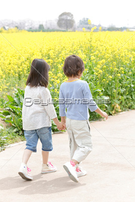 手を繋いで歩く男女の後ろ姿 商用利用可能な写真素材 イラスト素材ならストックフォトの定額制ペイレスイメージズ