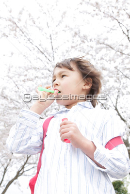 ����ܤ�̤�ͷ���ˤλ�