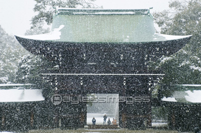 雪の明治神宮