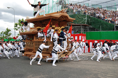 岸和田だんじり祭の写真 イラスト素材 Gf ペイレスイメージズ