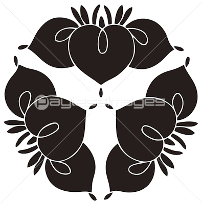 尻合わせ三つ杜若の花 しりあわせみつかきつばたのはな 商用利用可能な写真素材 イラスト素材ならストックフォトの定額制ペイレスイメージズ