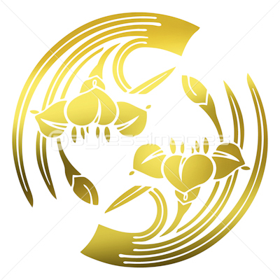 二つ追い杜若 ふたつおいかきつばた 商用利用可能な写真素材 イラスト素材ならストックフォトの定額制ペイレスイメージズ