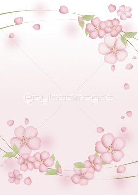 桜模様 バックグラウンド 商用利用可能な写真素材 イラスト素材ならストックフォトの定額制ペイレスイメージズ
