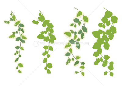 観葉植物 装飾 プミラ 商用利用可能な写真素材 イラスト素材ならストックフォトの定額制ペイレスイメージズ