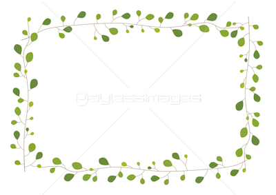 観葉植物 フレーム ヘデラ 商用利用可能な写真素材 イラスト素材ならストックフォトの定額制ペイレスイメージズ