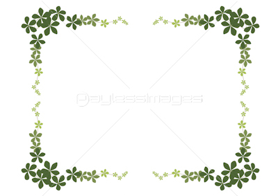 75 おしゃれ 植物 フレーム イラスト アニメ画像