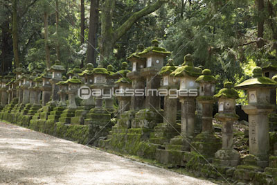 奈良県春日大社の石灯籠 商用利用可能な写真素材 イラスト素材ならストックフォトの定額制ペイレスイメージズ