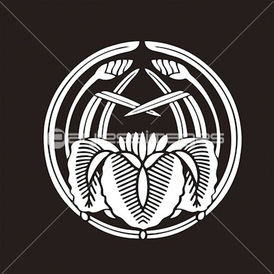 杏葉杜若 ぎょうようかきつばた 商用利用可能な写真素材 イラスト素材ならストックフォトの定額制ペイレスイメージズ