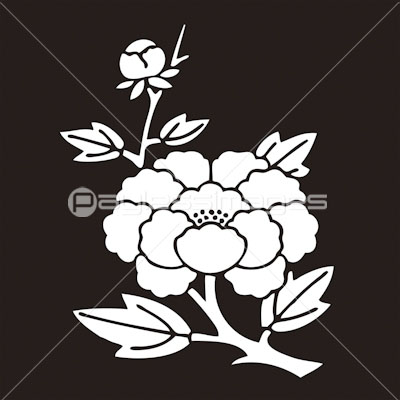 葉敷き乱れ牡丹 はしきみだれぼたん 商用利用可能な写真素材 イラスト素材ならストックフォトの定額制ペイレスイメージズ