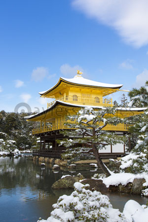 福島一二三、【金閣寺雪景】、希少な画集画、新品高級額・額装付 福島一二三、【金閣寺雪景】、希少な画集画、新品高級額・額装付 福島