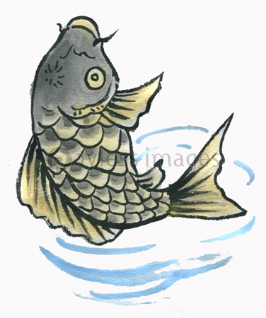 こい 商用利用可能な写真素材 イラスト素材ならストックフォトの定額制ペイレスイメージズ