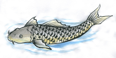 鯉の滝登り 商用利用可能な写真素材 イラスト素材ならストックフォトの定額制ペイレスイメージズ 鯉の滝登り 商用利用可能な写真素材 イラスト素材ならストックフォトの定額制ペイレスイメージズ