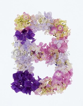 花のローマ字 B 商用利用可能な写真素材 イラスト素材ならストックフォトの定額制ペイレスイメージズ
