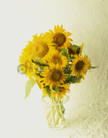 花瓶 レトロカワイイ/花柄 陶器 ひまわり/向日葵/ヒマワリ/和風 蚤の市 Despots(デスポッツ) Vintage sunflower/flowervase 花瓶 陶器 絵付 花