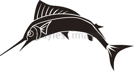 カジキマグロ 商用利用可能な写真素材 イラスト素材ならストックフォトの定額制ペイレスイメージズ