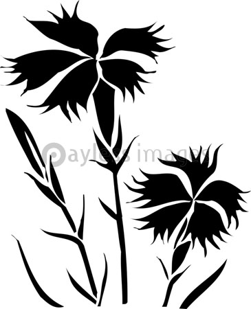 ナデシコ ストックフォトの定額制ペイレスイメージズ