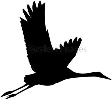 ツルのシルエット 商用利用可能な写真素材 イラスト素材ならストックフォトの定額制ペイレスイメージズ