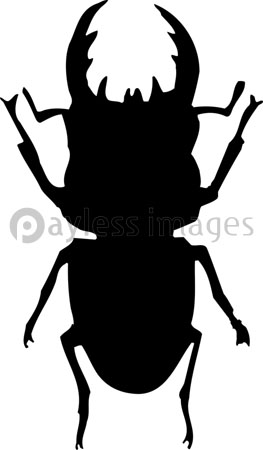 クワガタムシのシルエット 商用利用可能な写真素材 イラスト素材ならストックフォトの定額制ペイレスイメージズ