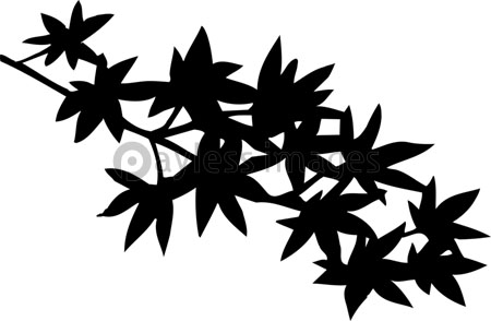 モミジの葉のシルエット ストックフォトの定額制ペイレスイメージズ