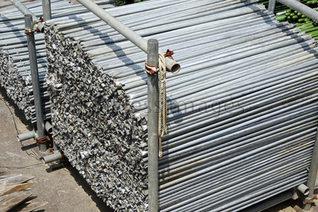 ビニールハウス鉄パイプ