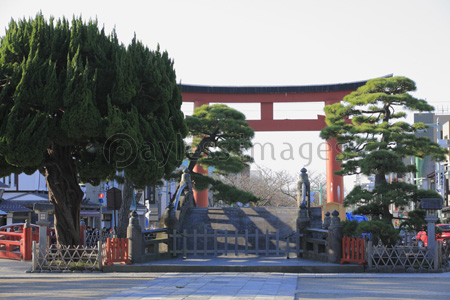 鶴岡八幡宮 三の鳥居 太鼓橋 商用利用可能な写真素材 イラスト素材ならストックフォトの定額制ペイレスイメージズ