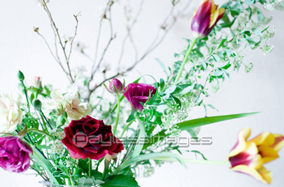 花瓶生け ストックフォトの定額制ペイレスイメージズ