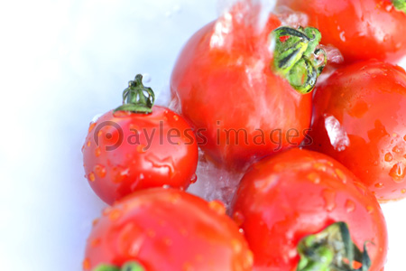 すべての動物の画像 エレガントミニ トマト イラスト