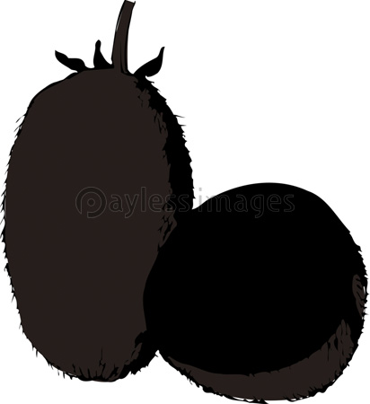 キウイフルーツのシルエット ストックフォトの定額制ペイレスイメージズ