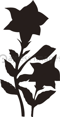 キキョウのシルエット 商用利用可能な写真素材 イラスト素材ならストックフォトの定額制ペイレスイメージズ キキョウのシルエット 商用利用可能な写真素材 イラスト素材ならストックフォトの定額制ペイレスイメージズ