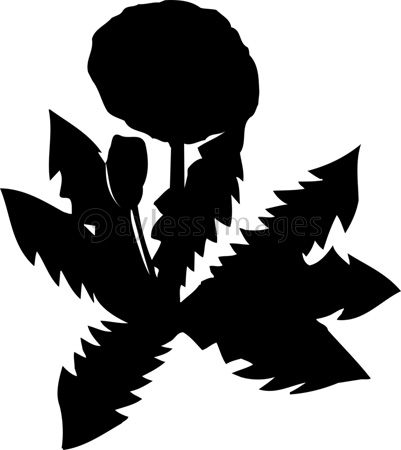 タンポポのシルエット 商用利用可能な写真素材 イラスト素材ならストックフォトの定額制ペイレスイメージズ