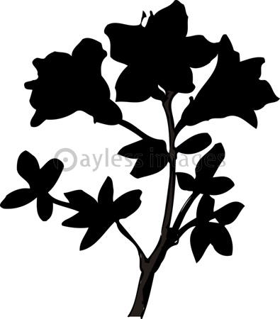 すべての動物の画像 新鮮なつつじ イラスト 白黒
