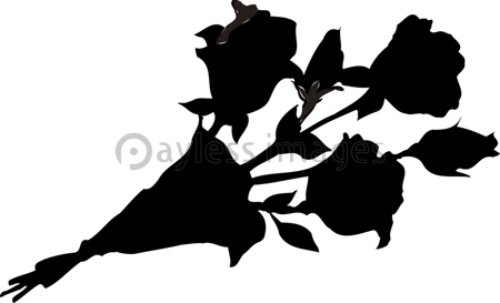 バラの花束のシルエット 商用利用可能な写真素材 イラスト素材ならストックフォトの定額制ペイレスイメージズ