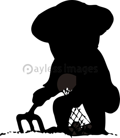 潮干狩りをしている人のシルエット ストックフォトの定額制ペイレスイメージズ