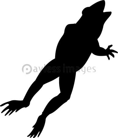 蛙のシルエット ストックフォトの定額制ペイレスイメージズ