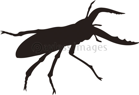 クワガタムシのシルエット 商用利用可能な写真素材 イラスト素材ならストックフォトの定額制ペイレスイメージズ