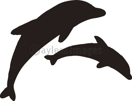 イルカのシルエット 商用利用可能な写真素材 イラスト素材ならストックフォトの定額制ペイレスイメージズ