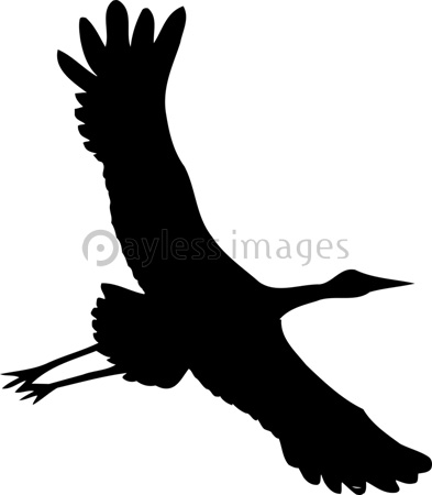 ツルのシルエット 商用利用可能な写真素材 イラスト素材ならストックフォトの定額制ペイレスイメージズ