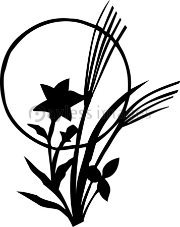 ききょう 背景つき ストックフォトの定額制ペイレスイメージズ