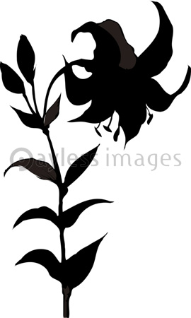 美しい花の画像 50 シルエット 百合 イラスト 花